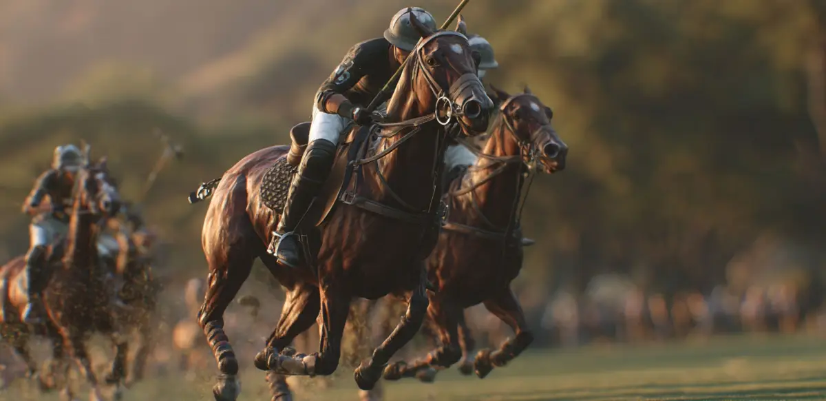 POLO & RIDING CLUB